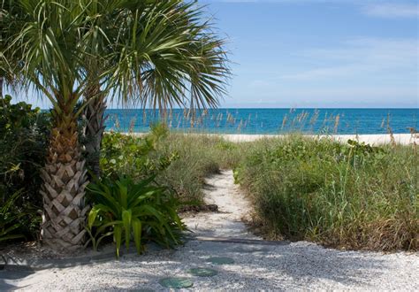 Sun, Sand, and Serenity: Exploring Magic Beach, Florida